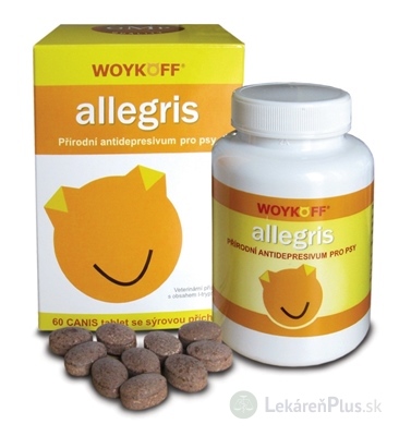 allegris tbl CANIS so syrovou príchuťou 1x60 ks